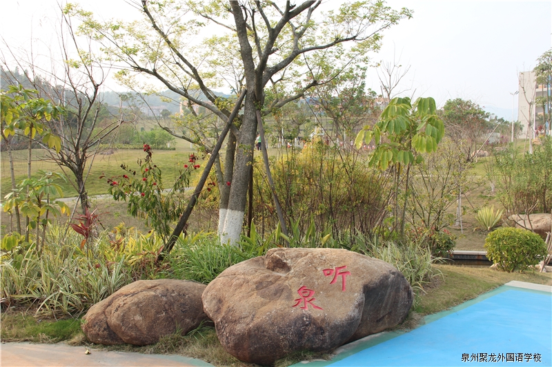 聽(tīng)泉
